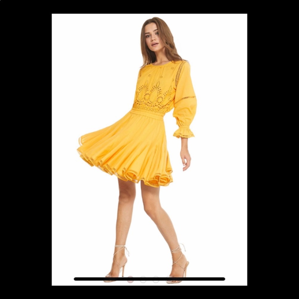 Misa Los Angeles lex dress - Picture 2 of 8